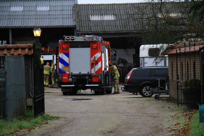 Paard vast in trailer bij manege