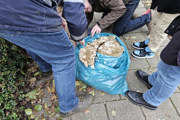 Nest Aziatische Hoornaars verwijderd met behulp van hoogwerker