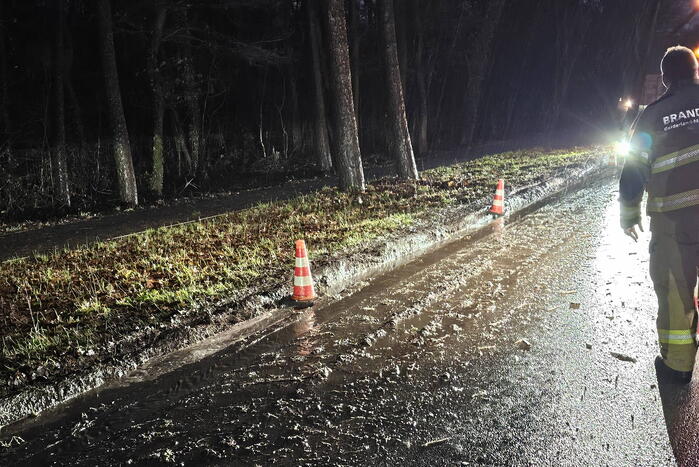 Brandweer ingezet voor stormschade