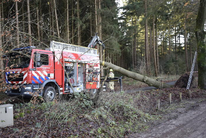 Groot materieel ingezet voor boom over fietspad