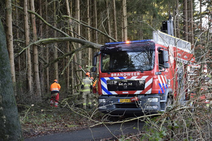 Groot materieel ingezet voor boom over fietspad