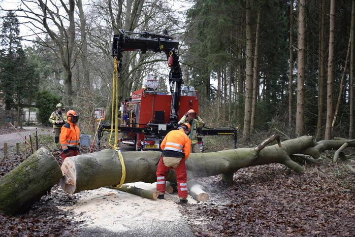 Groot materieel ingezet voor boom over fietspad