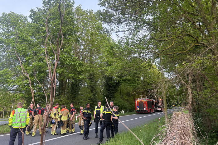 Auto verliest controle over stuur en knalt tegen boom