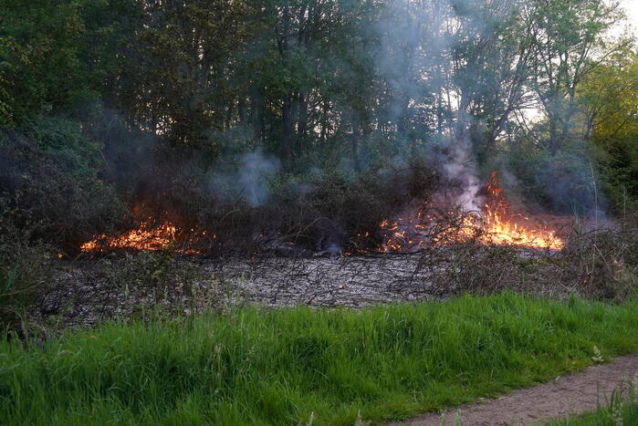 Tientallen vierkante meters natuurgebied verwoest door Brand