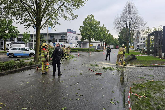 Weg geblokkeerd door omgevallen boom