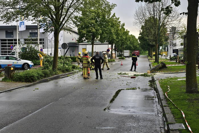 Weg geblokkeerd door omgevallen boom