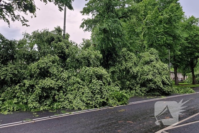 Bomen vallen om door hevige onweersbui