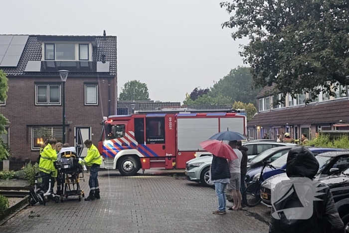 Lavendel Nieuws Veenendaal 