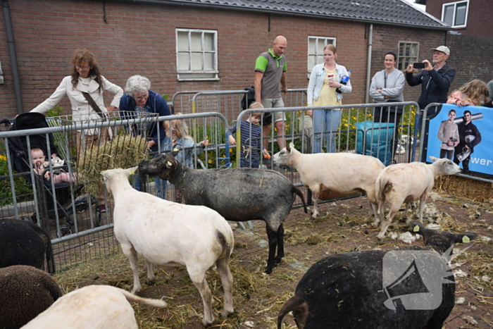 Koeien knuffelen tijdens Bunschoter Boeren- en Beestenboel