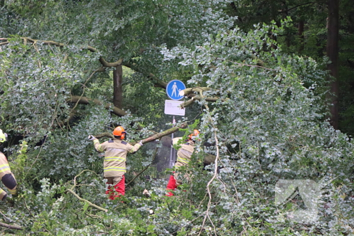 Flinke schade na omvallen boom park Daalhuizen