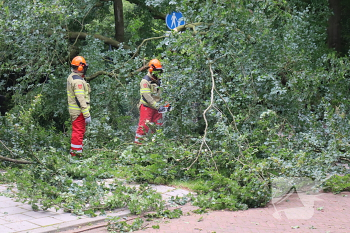 Flinke schade na omvallen boom park Daalhuizen