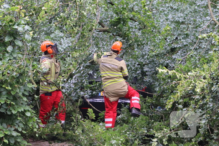 Flinke schade na omvallen boom park Daalhuizen