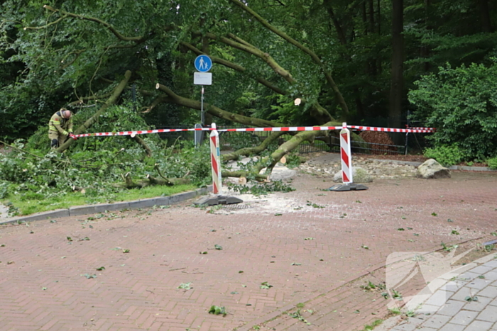 Flinke schade na omvallen boom park Daalhuizen