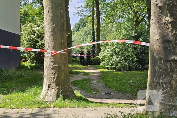 Schietpartij in de wijk Binnenveld