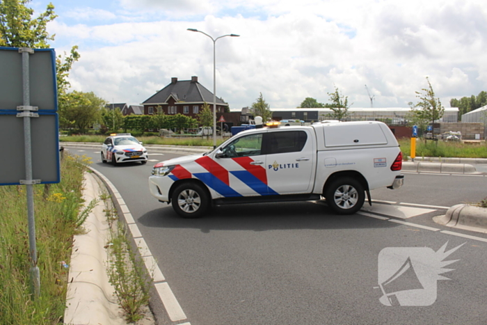 Vogel vliegt tegen voorruit bestelbus