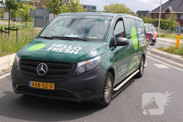 Vogel vliegt tegen voorruit bestelbus