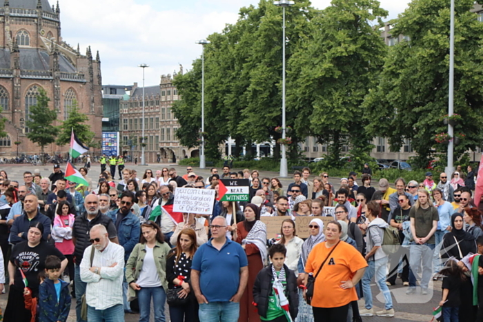 Veel demonstranten bij Pro Palestina demonstratie