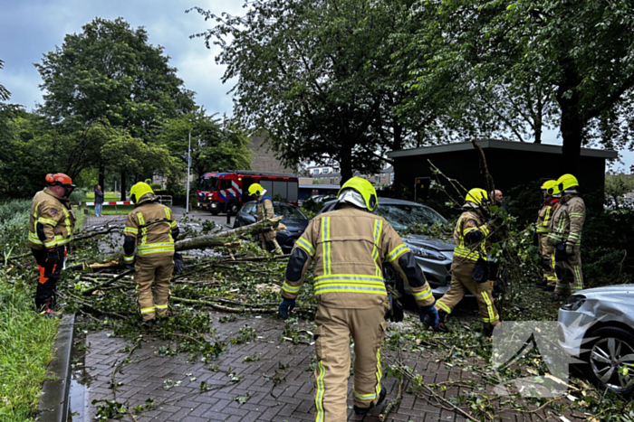 Auto fiks beschadigd door omgevallen boom