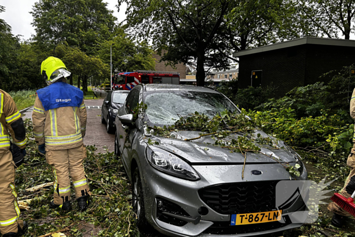 Auto fiks beschadigd door omgevallen boom