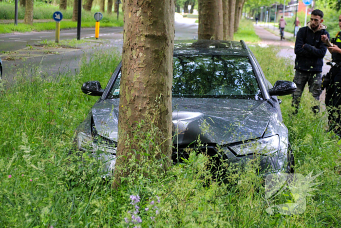 Automobilist rijdt tegen boom