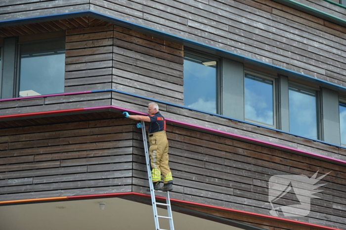 Brandweer haalt dode kraai van schoolgebouw