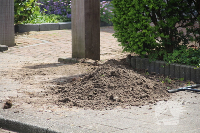 Hard sissend geluid bij werkzaamheden voortuin