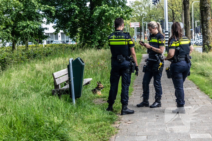 Hond achtergelaten na geweldsincident