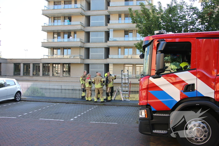 Brandweer bevrijdt kuiken van achter houten schot