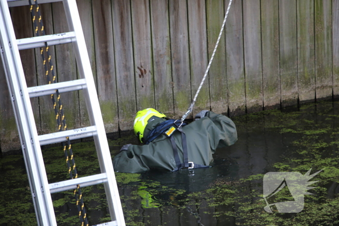 Brandweer bevrijdt kuiken van achter houten schot