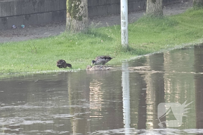 Straat afgesloten wegens grote waterlekkage