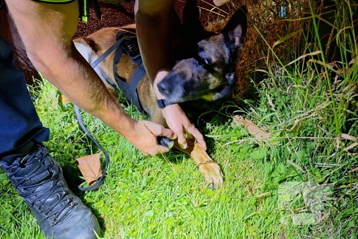 Politiehond Appie vind door omstander verloren armband terug