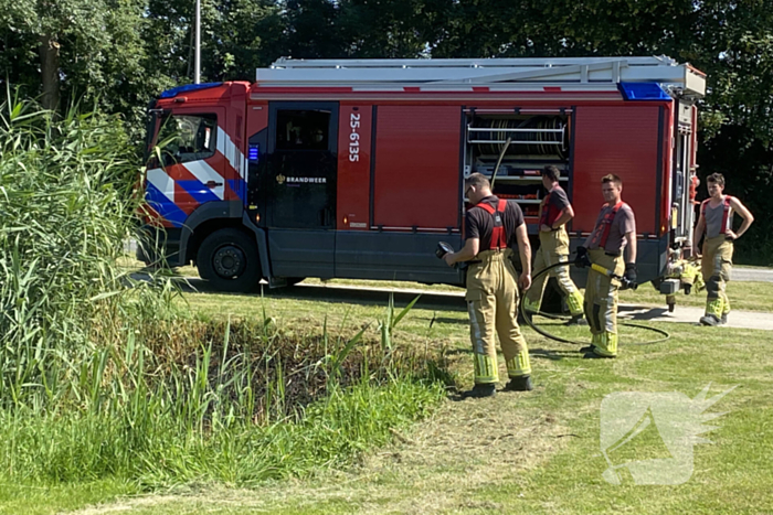 Brand in rietkraag snel onder controle