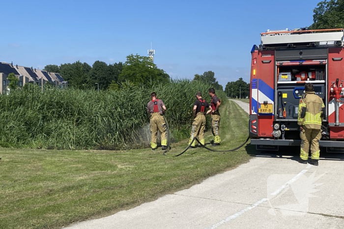 Brand in rietkraag snel onder controle