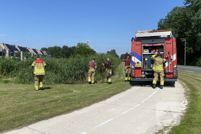 Brand in rietkraag snel onder controle