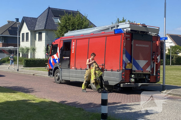 Brand in rietkraag snel onder controle