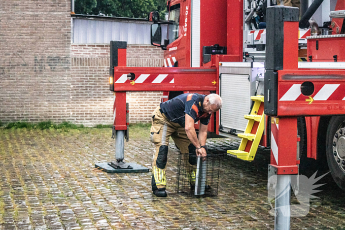 Poes ontglipt aan de brandweer