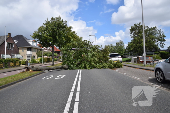 Grote boom belandt op weg tijdens storm