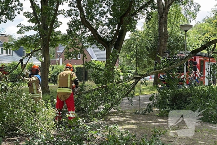 Brandweer ingezet voor afgebroken tak