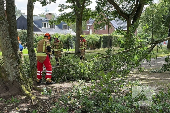 Brandweer ingezet voor afgebroken tak