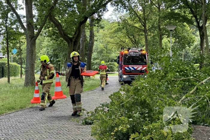 Brandweer ingezet voor afgebroken tak