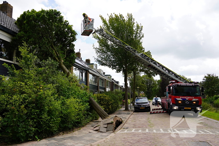 Boom valt tegen woning