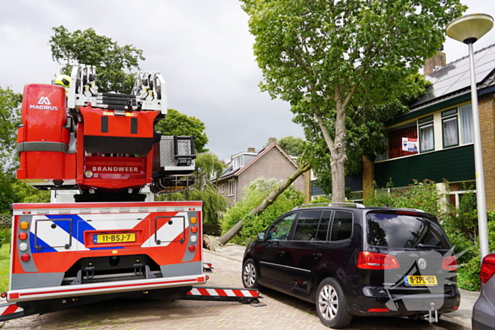 Boom valt tegen woning