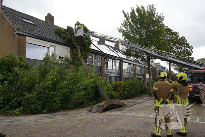 Boom valt tegen woning