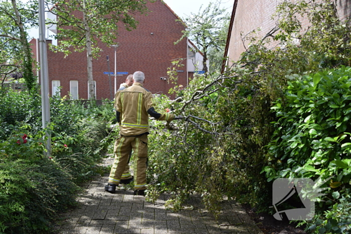 Boom waait tegen woning