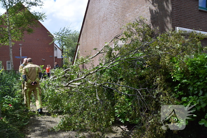 Boom waait tegen woning