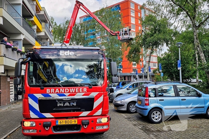 Brandweer zaagt gevaarlijk loshangende tak uit boom