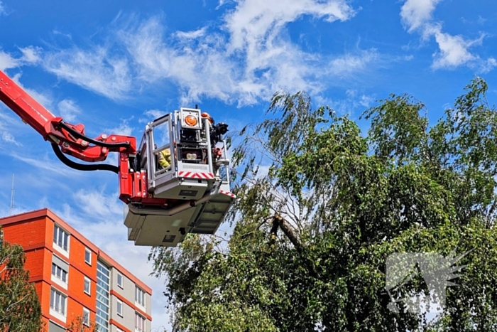 Brandweer zaagt gevaarlijk loshangende tak uit boom