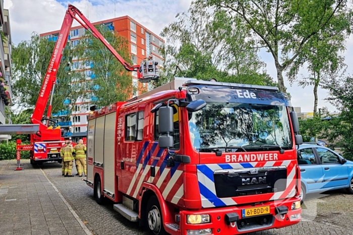 Brandweer zaagt gevaarlijk loshangende tak uit boom