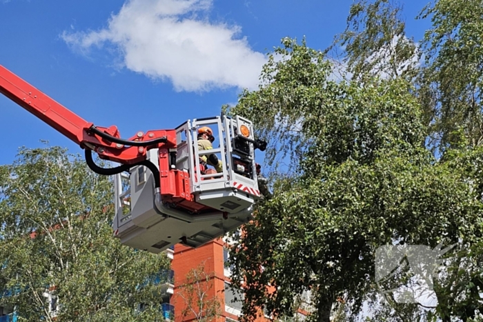 Brandweer zaagt gevaarlijk loshangende tak uit boom