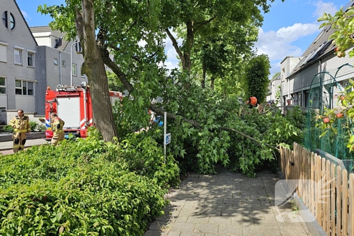 Brandweer zaagt afgewaaide tak in stukken